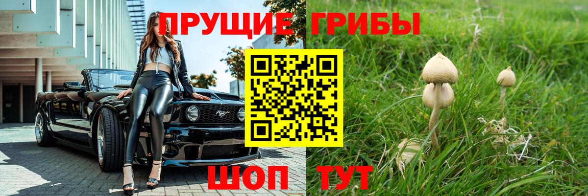 Галлюциногенные грибы прущие грибы Южно-Сахалинск