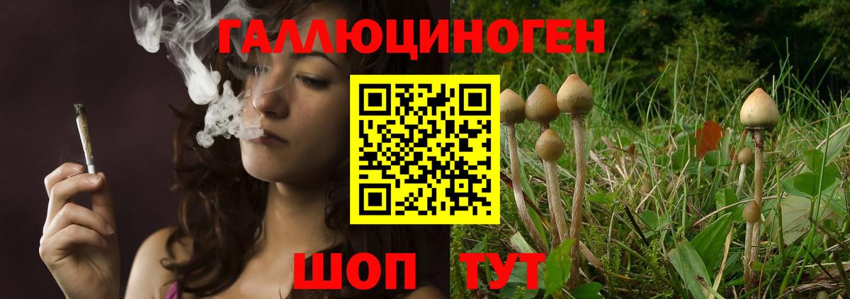 Южно-Сахалинск  Псилоцибиновые грибы мицелий  Галлюциногенные грибы Psilocybine cubensis  Вход с VPN 